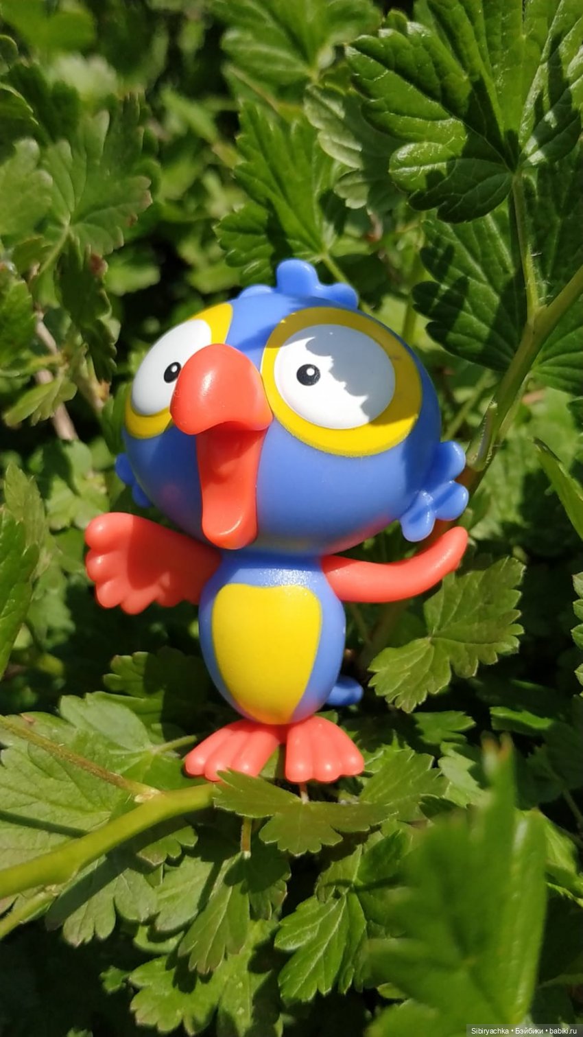 Обычный летний день в деревне Радость