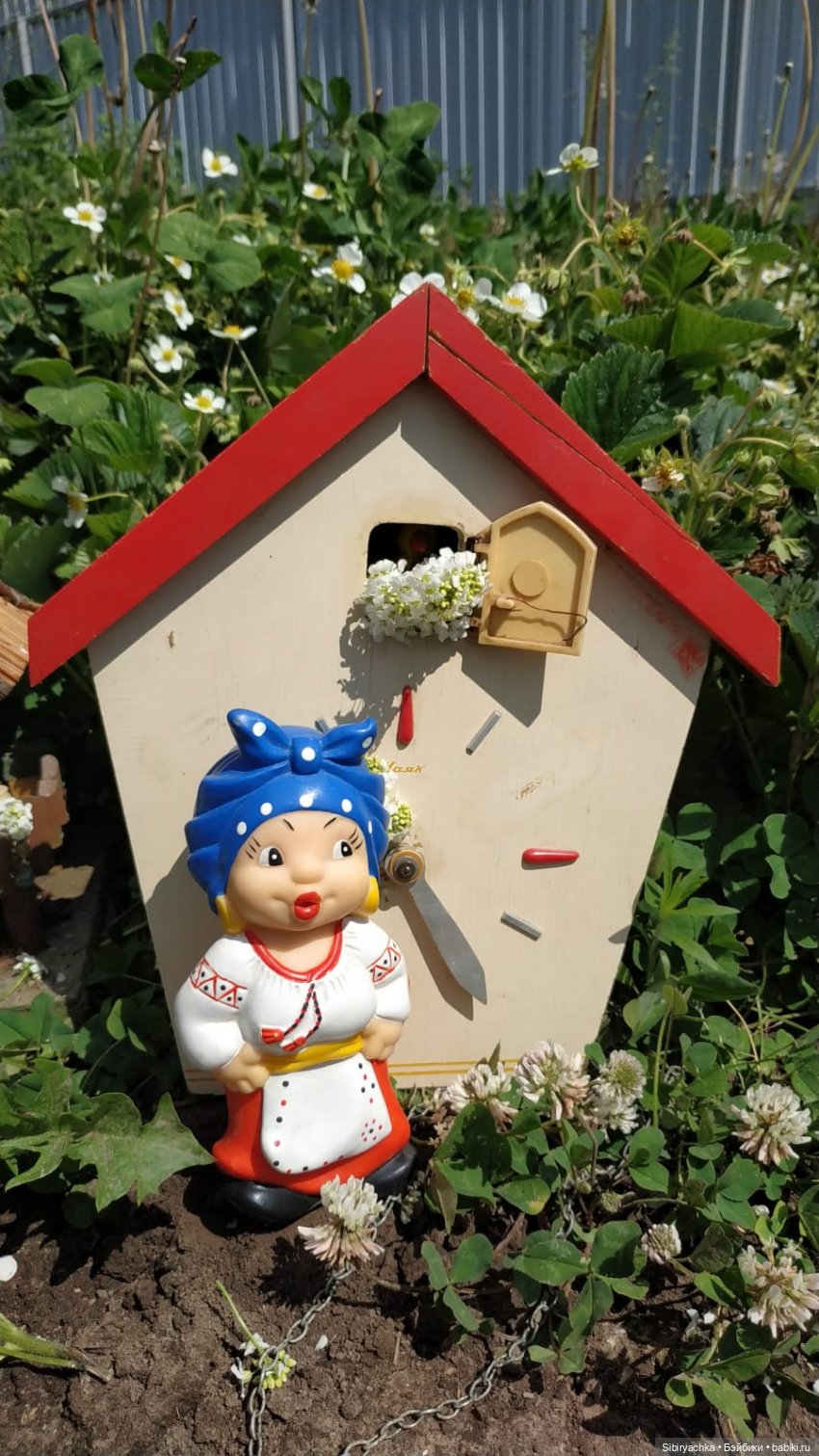 Обычный летний день в деревне Радость (фото 2)