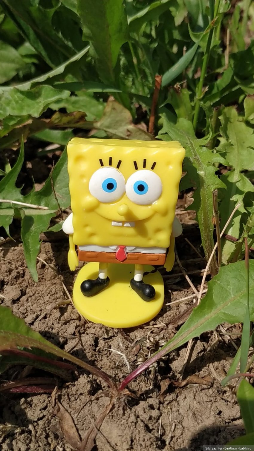 Обычный летний день в деревне Радость