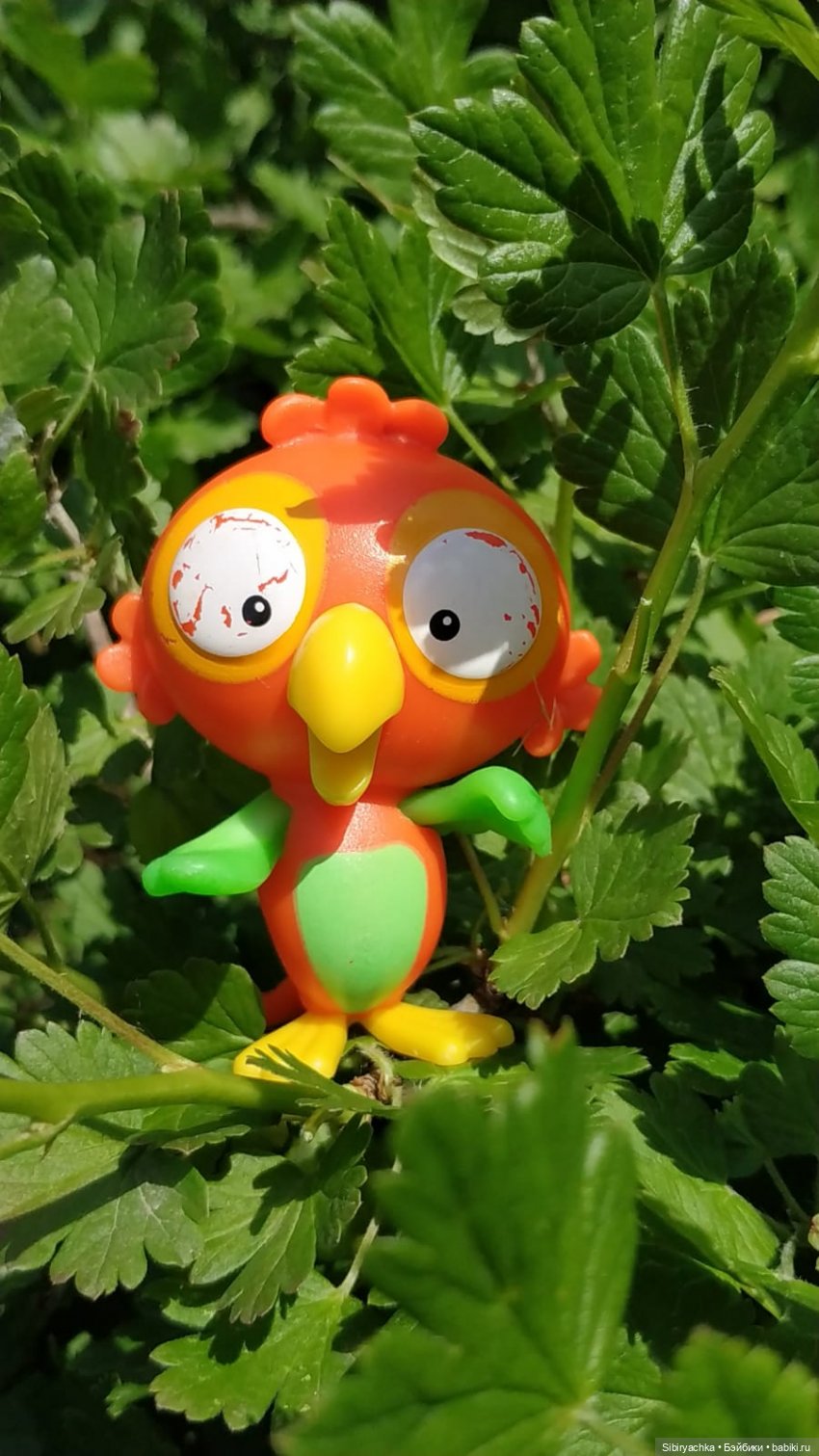 Обычный летний день в деревне Радость