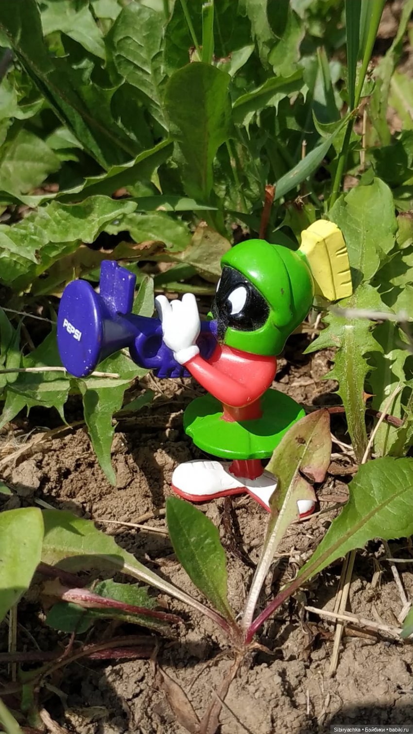 Обычный летний день в деревне Радость