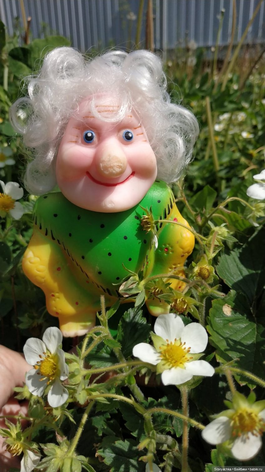 Обычный летний день в деревне Радость (фото 6)