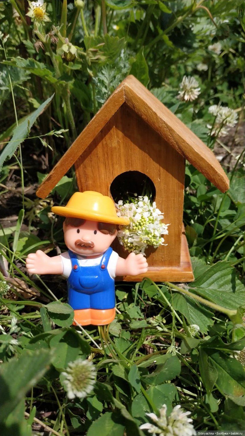 Обычный летний день в деревне Радость (фото 3)