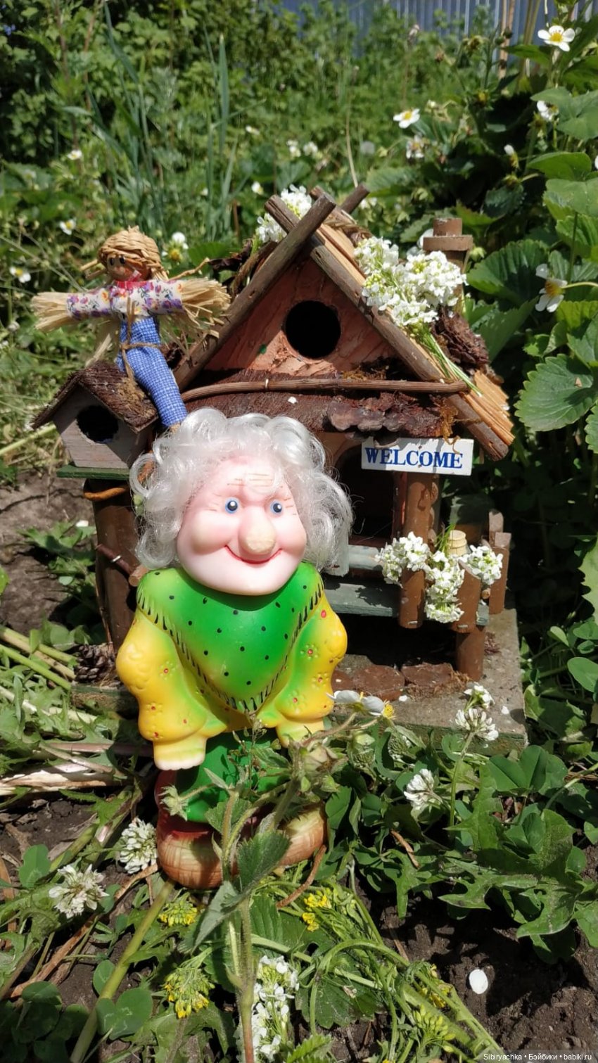 Обычный летний день в деревне Радость