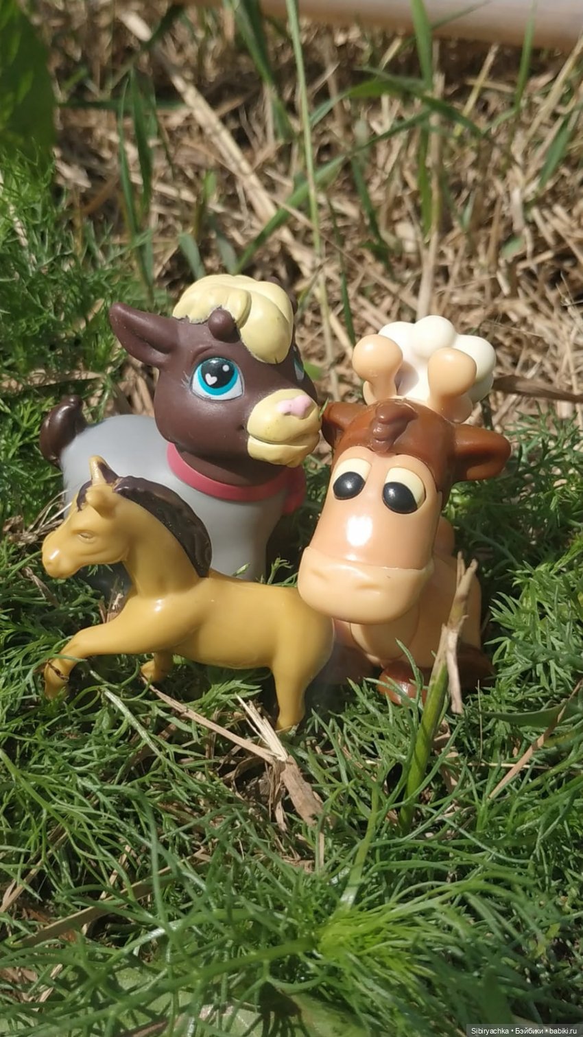 Обычный летний день в деревне Радость