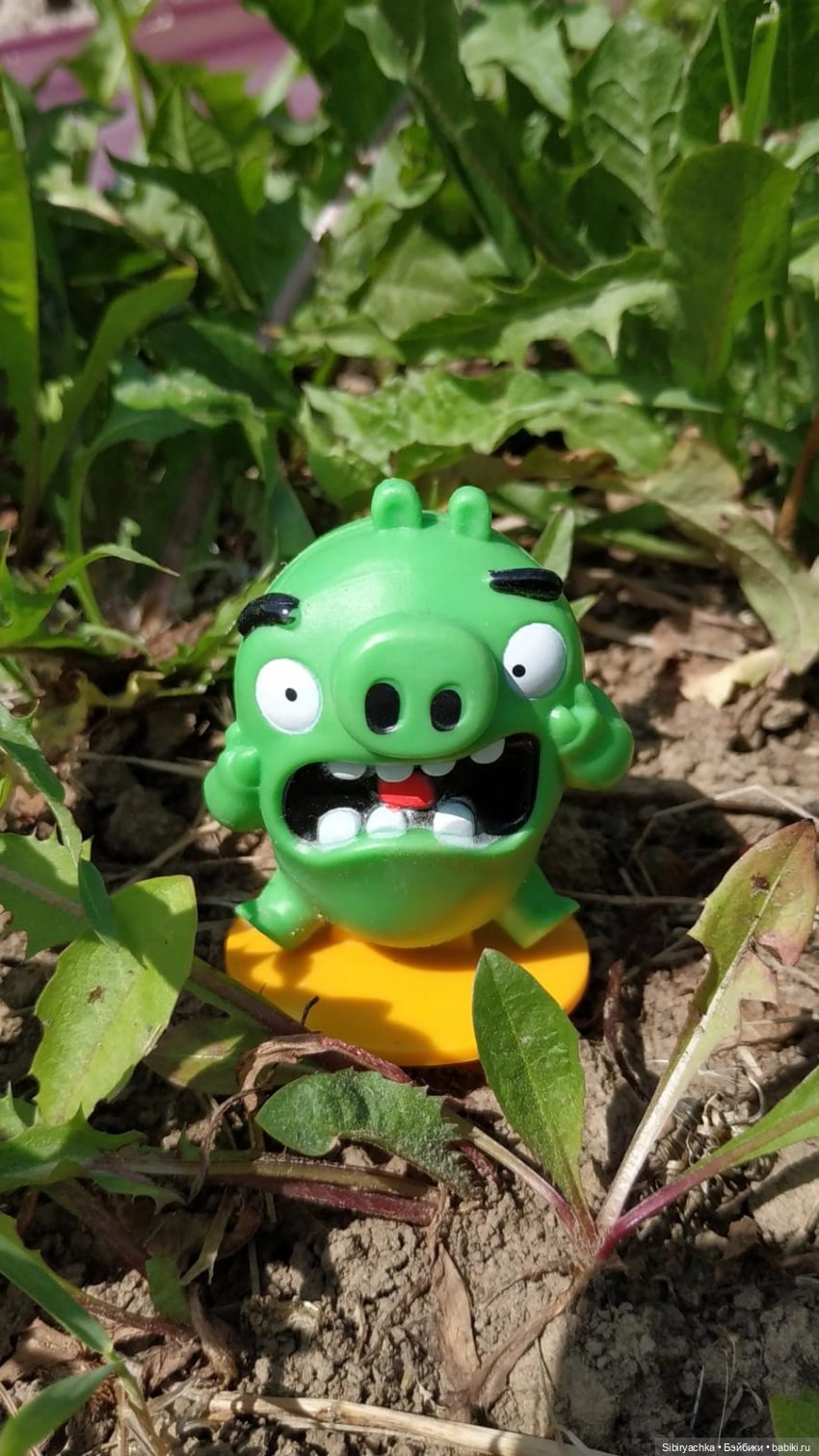 Обычный летний день в деревне Радость