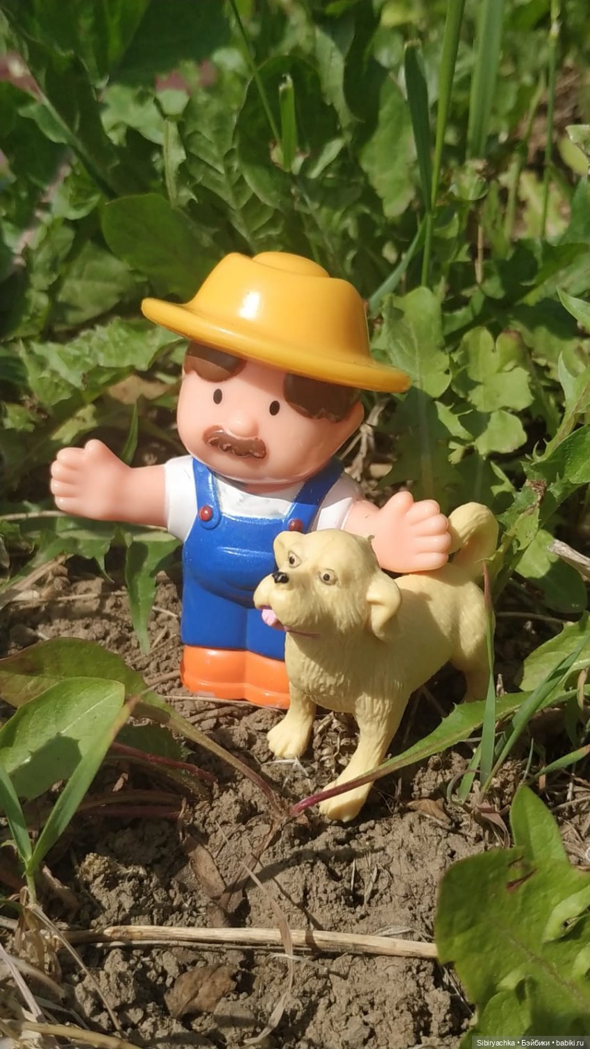 Обычный летний день в деревне Радость