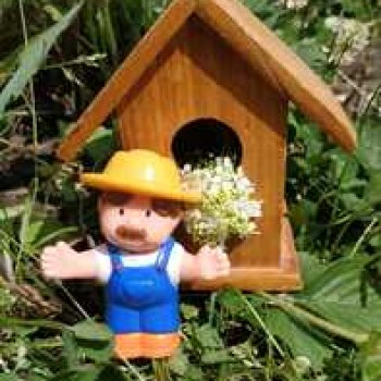 Обычный летний день в деревне Радость.