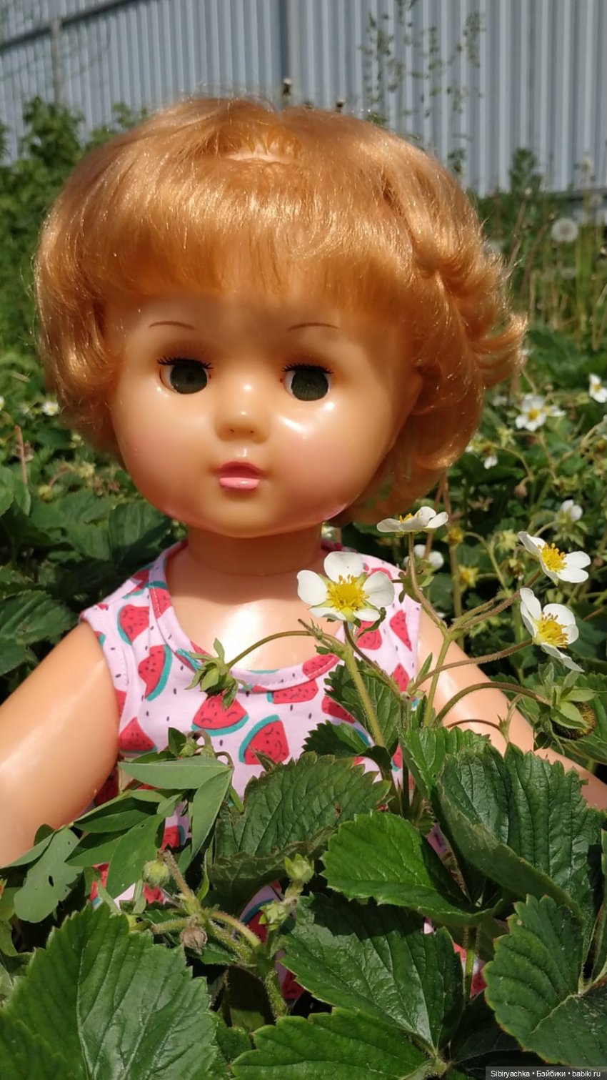 Первая поездка Марины на дачу