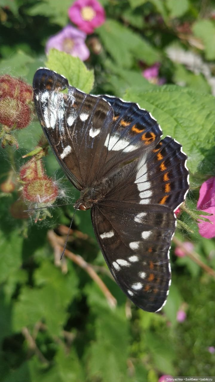 Валечка на прогулке — Советские винтажные куклы (СССР): Ленигрушка
