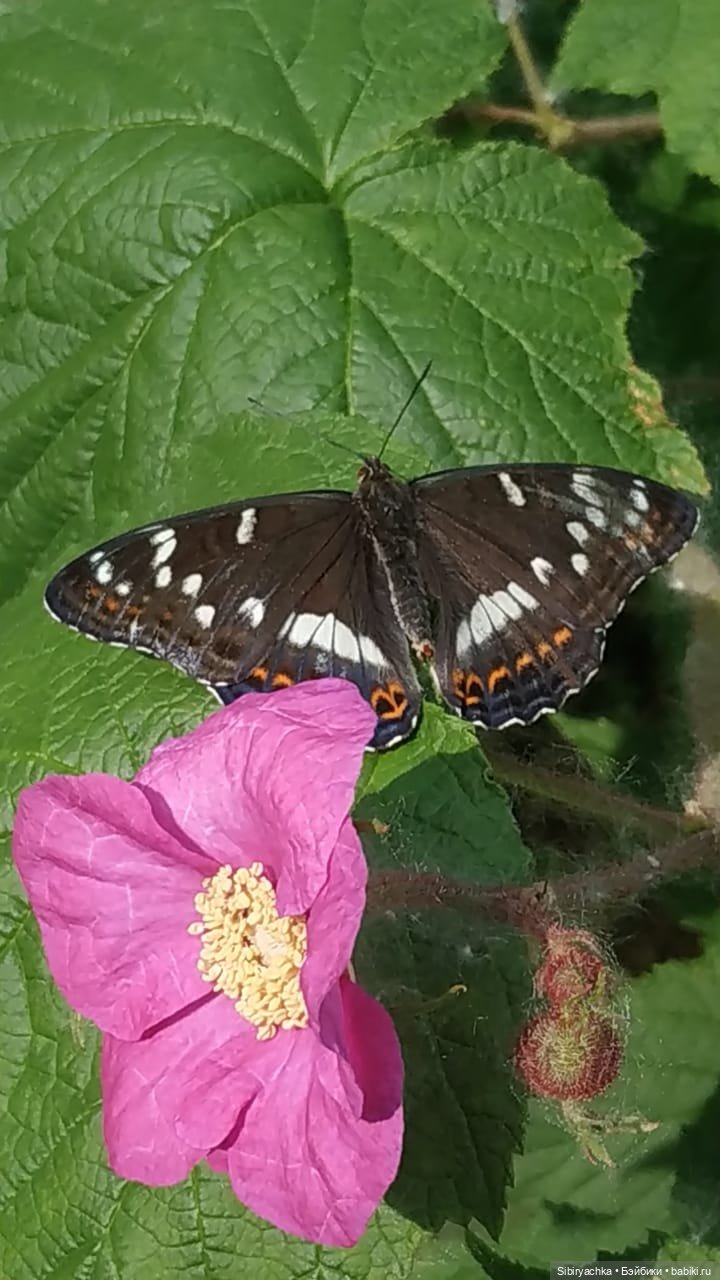 Валечка на прогулке — Советские винтажные куклы (СССР): Ленигрушка (фото 3)