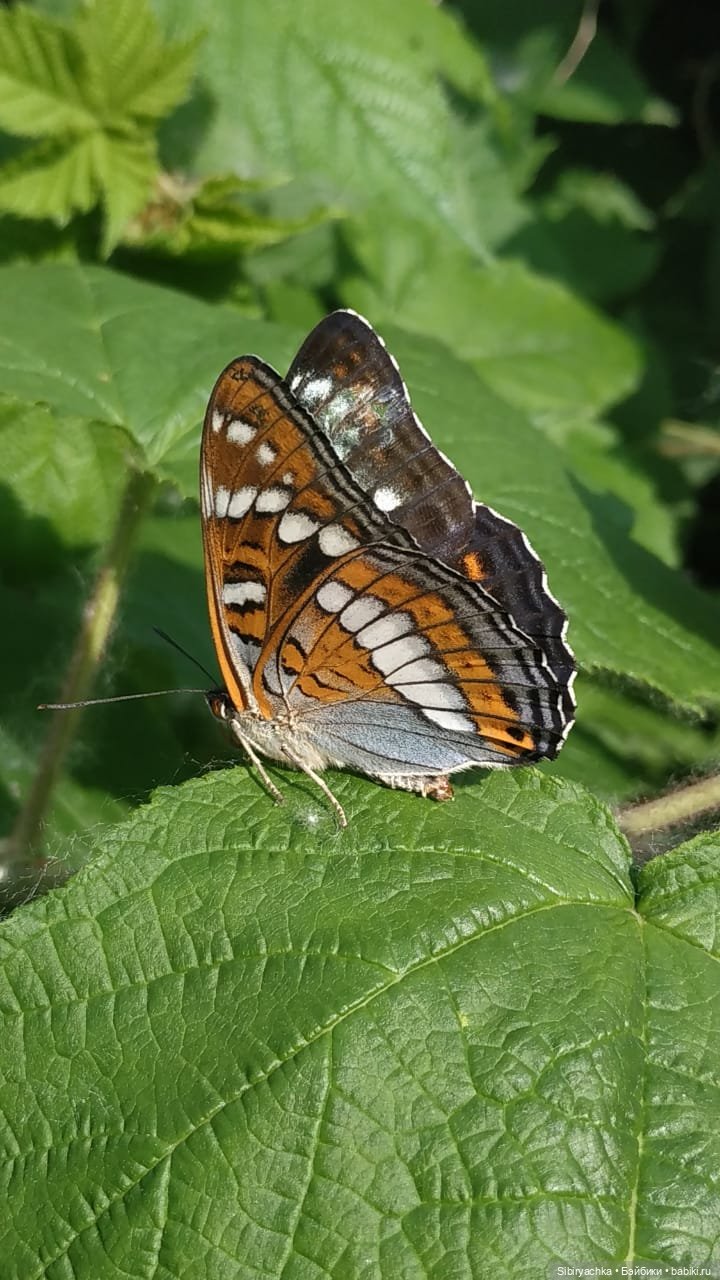 Валечка на прогулке — Советские винтажные куклы (СССР): Ленигрушка (фото 4)