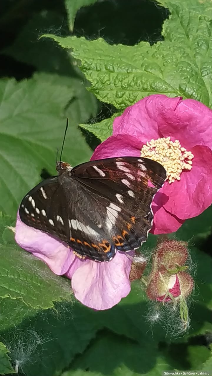 Валечка на прогулке — Советские винтажные куклы (СССР): Ленигрушка (фото 2)