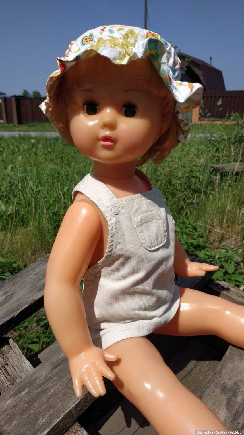 Новая поездка Марины на дачу (фото 4)