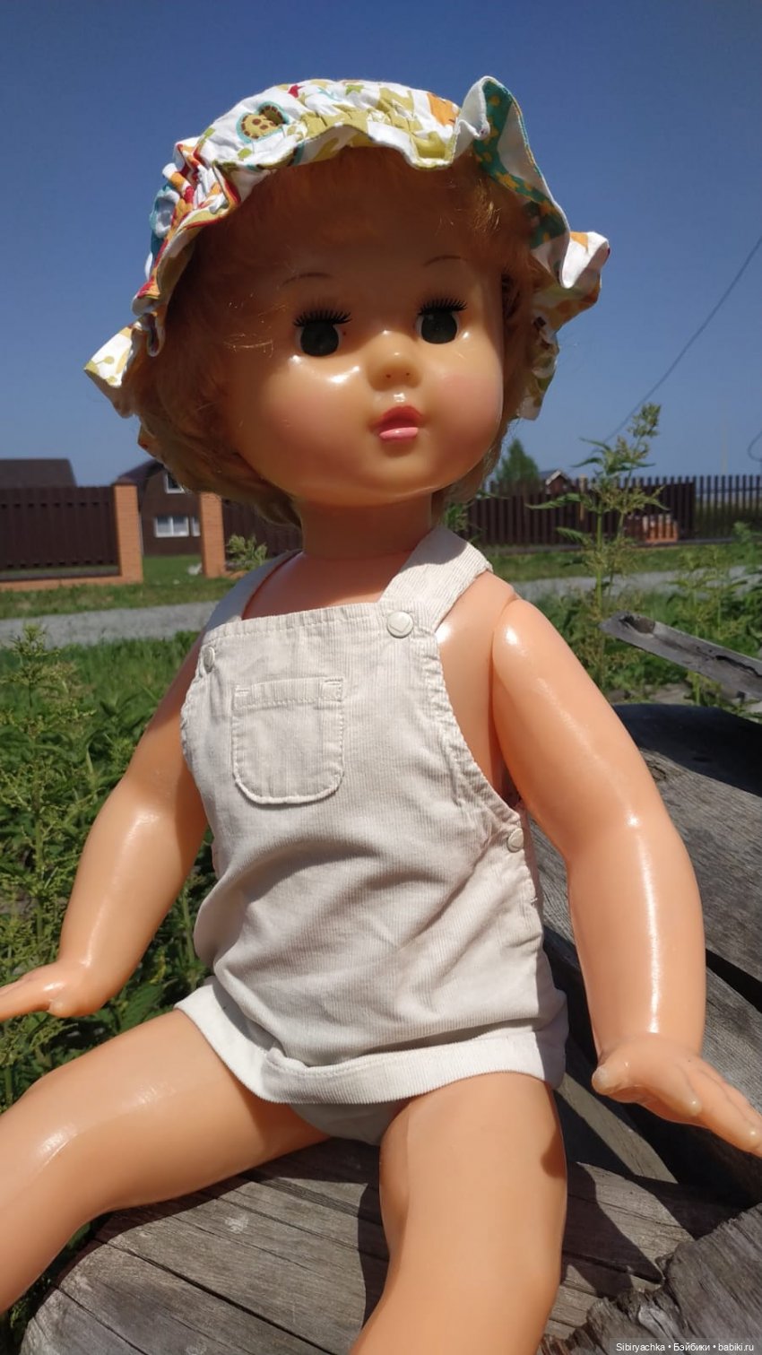 Новая поездка Марины на дачу (фото 7)