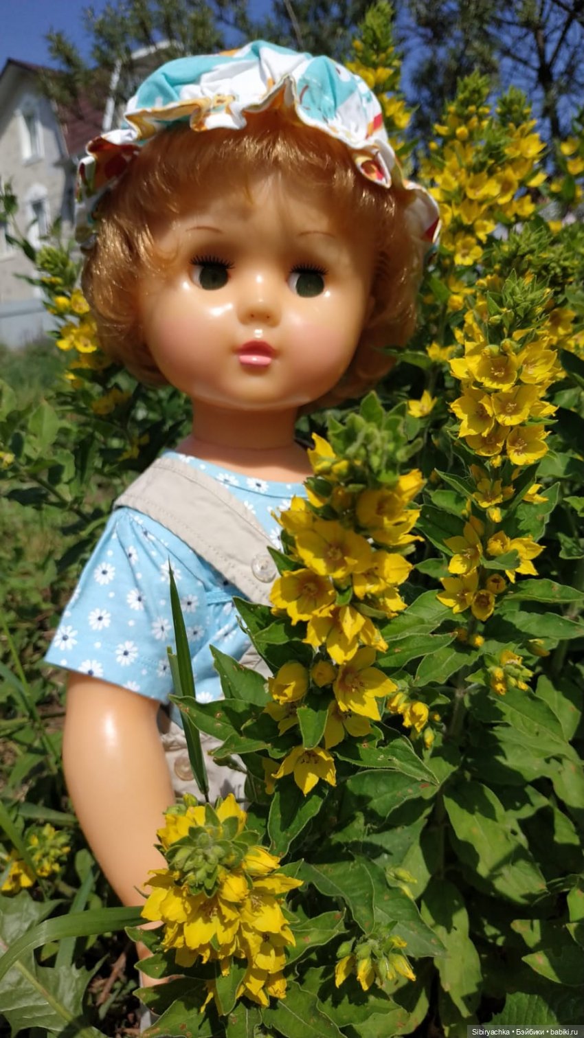 Новая поездка Марины на дачу