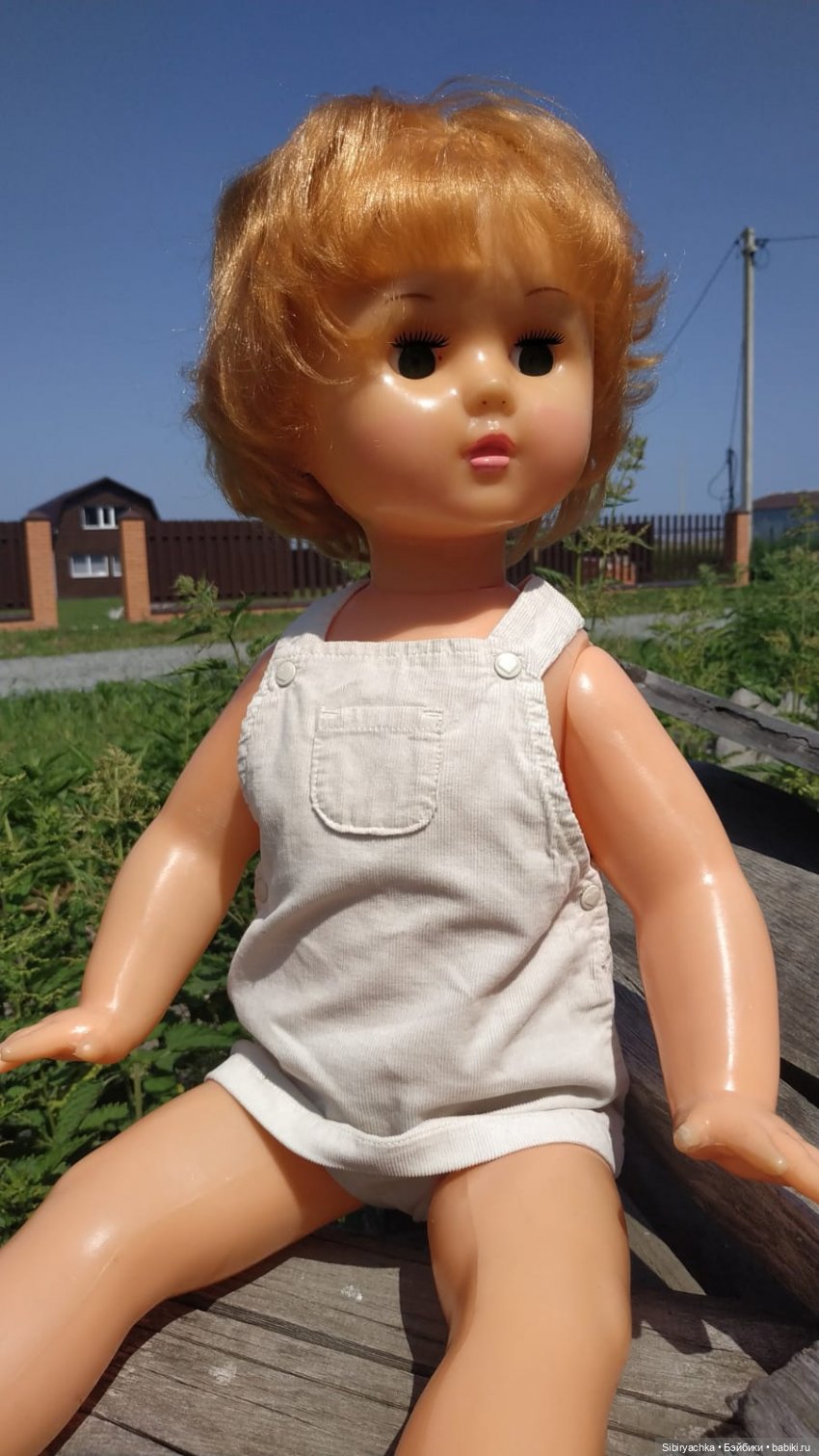 Новая поездка Марины на дачу (фото 8)