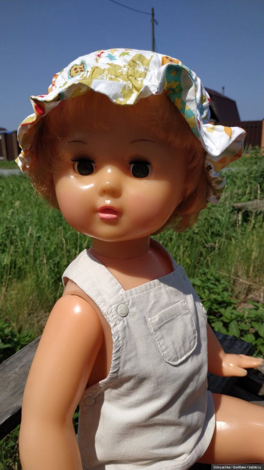 Новая поездка Марины на дачу (фото 5)