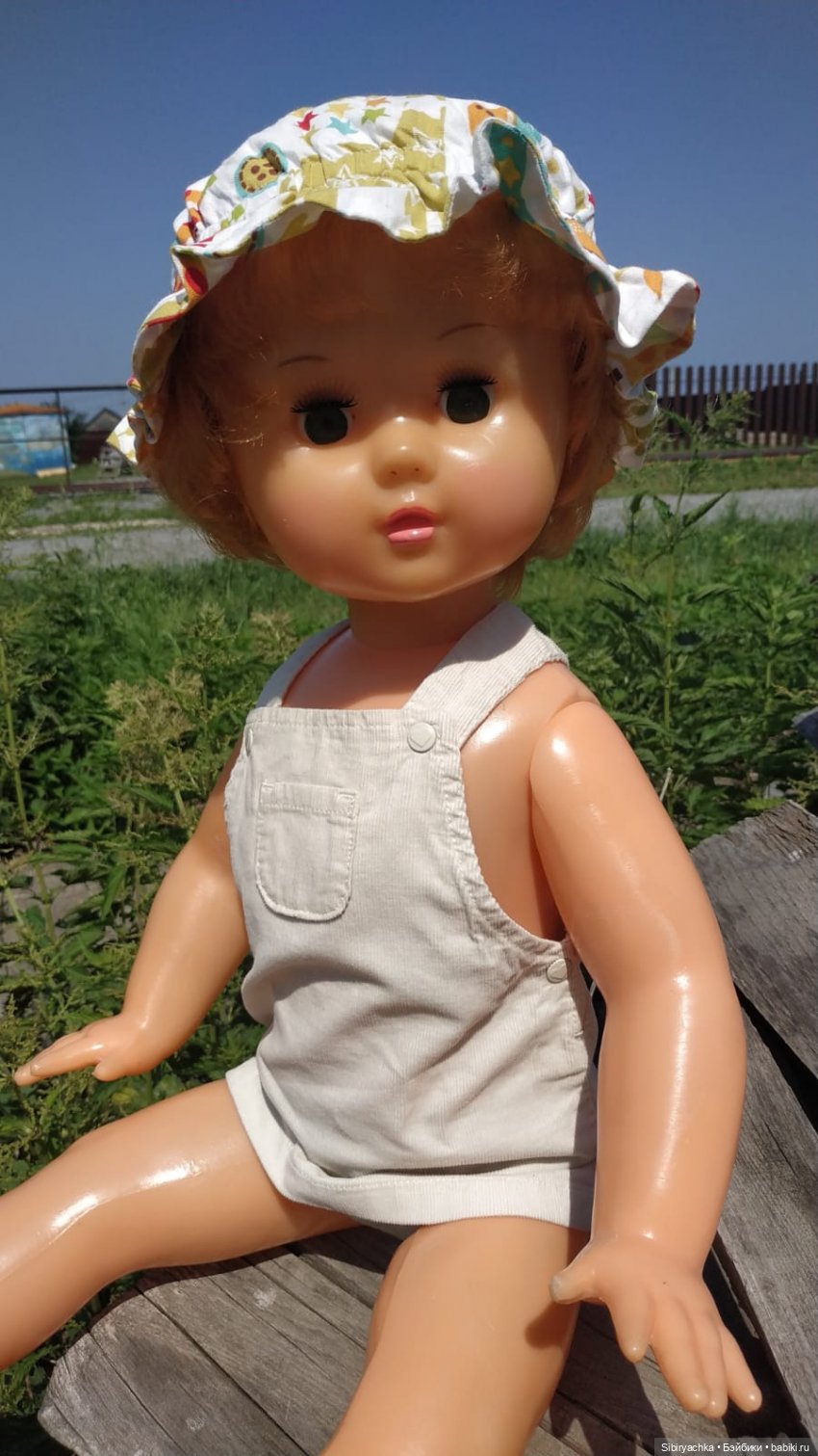 Новая поездка Марины на дачу (фото 6)