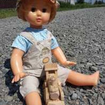 Новая поездка Марины на дачу.