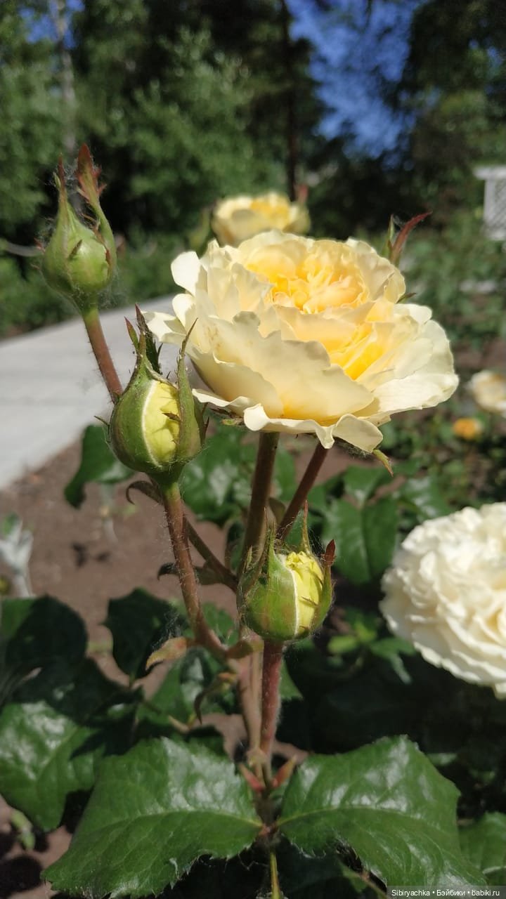 Настенька на прогулке — Российские куклы Весна