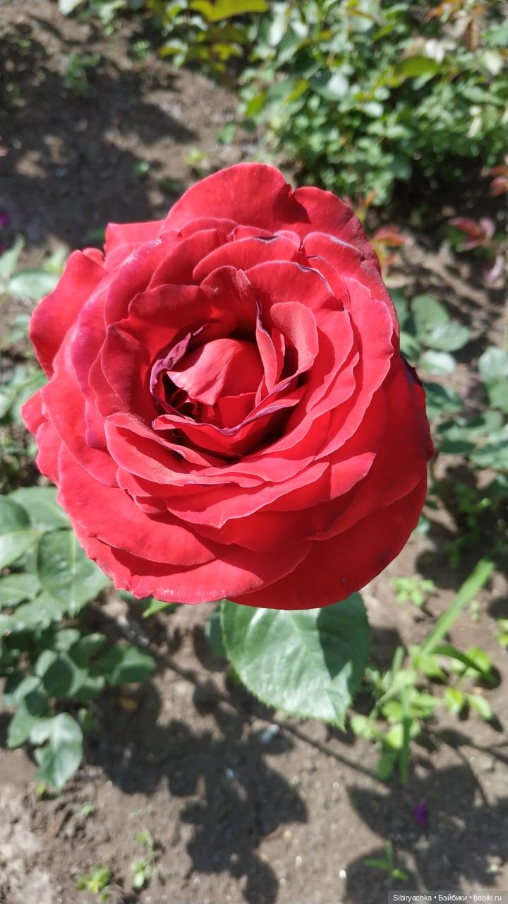 Настенька на прогулке — Российские куклы Весна