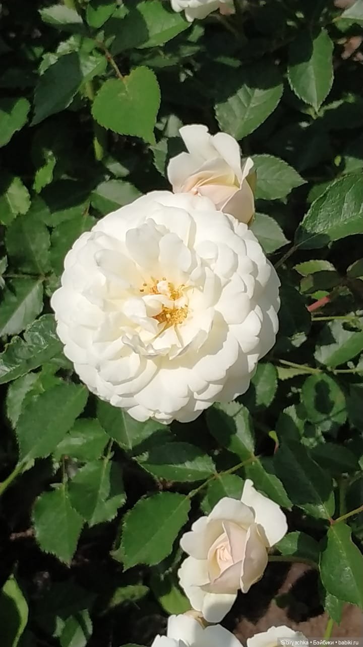 Настенька на прогулке — Российские куклы Весна