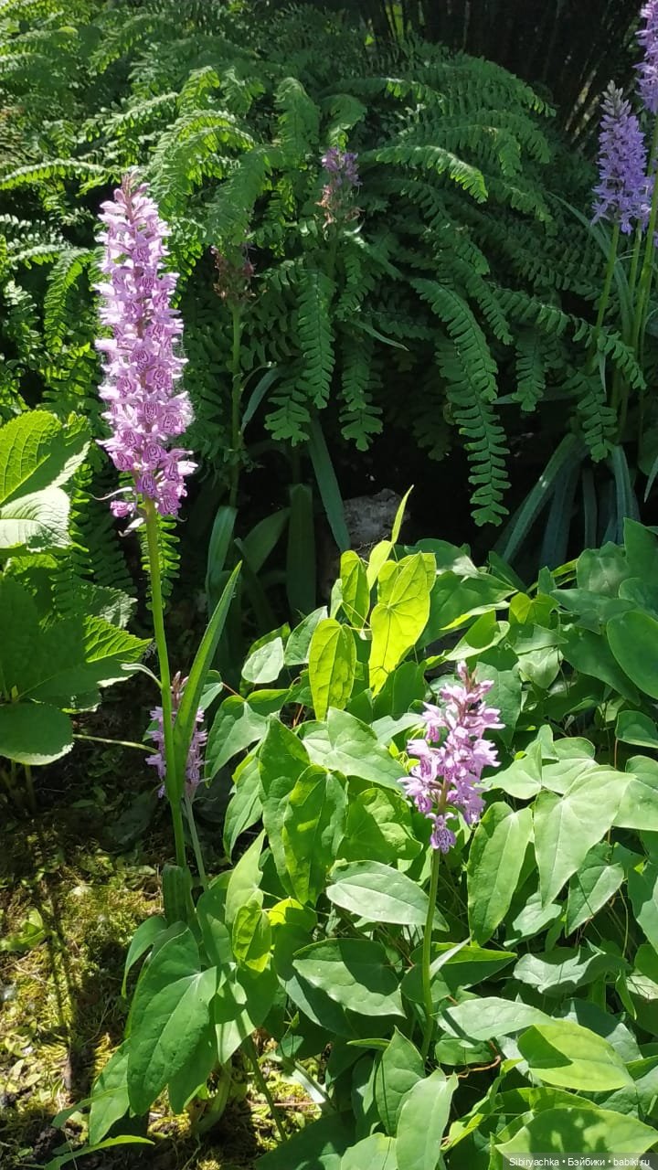 Настенька на прогулке — Российские куклы Весна