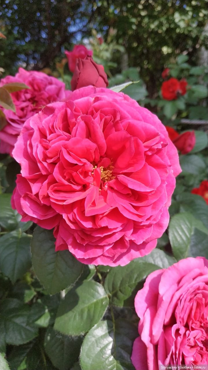 Настенька на прогулке — Российские куклы Весна