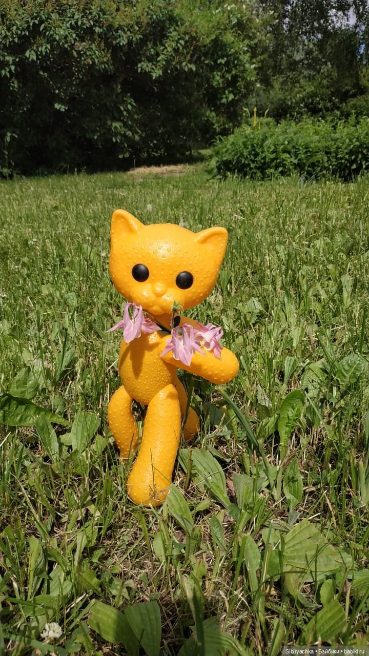 И жизнь хороша, и жить хорошо