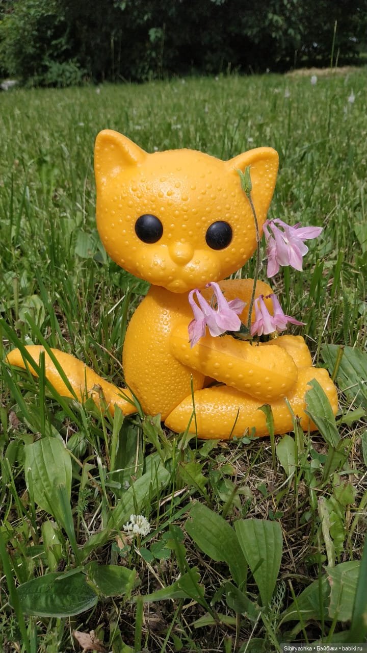 И жизнь хороша, и жить хорошо