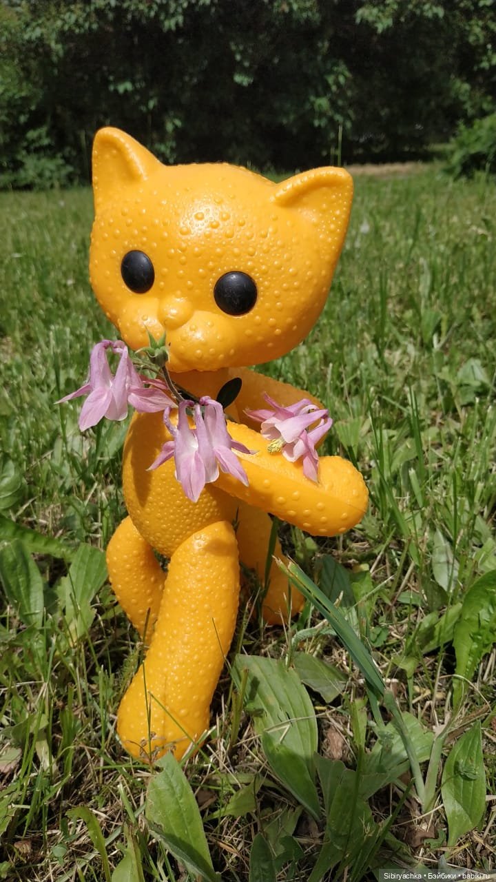 И жизнь хороша, и жить хорошо