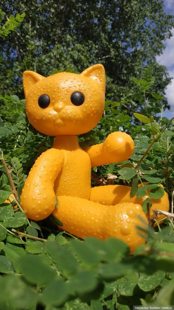 И жизнь хороша, и жить хорошо (фото 9)