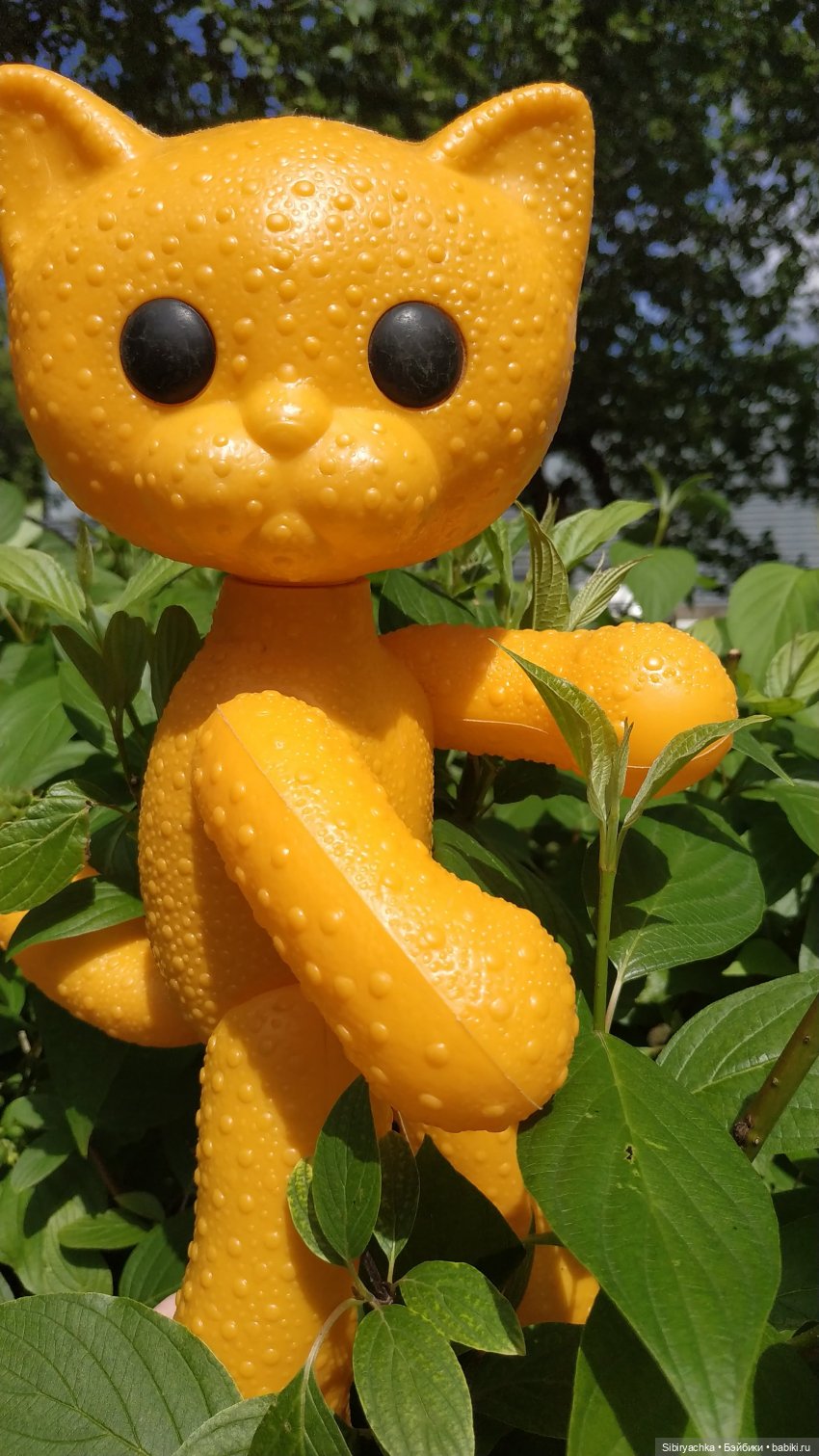 И жизнь хороша, и жить хорошо (фото 10)