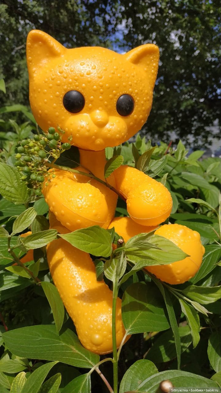 И жизнь хороша, и жить хорошо