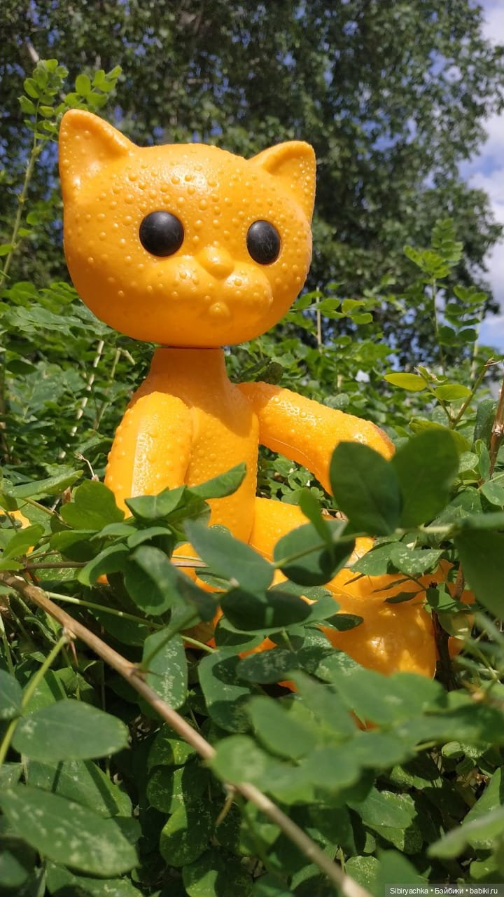 И жизнь хороша, и жить хорошо (фото 8)