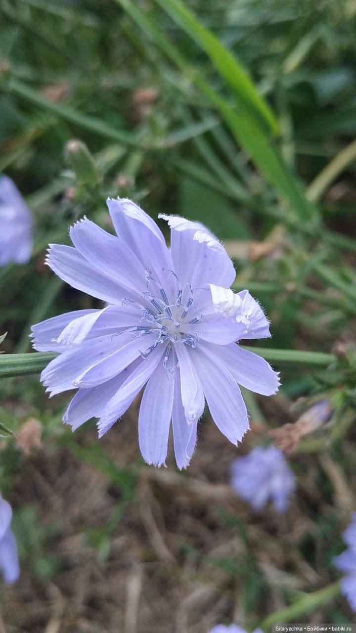 И жизнь хороша, и жить хорошо (фото 4)