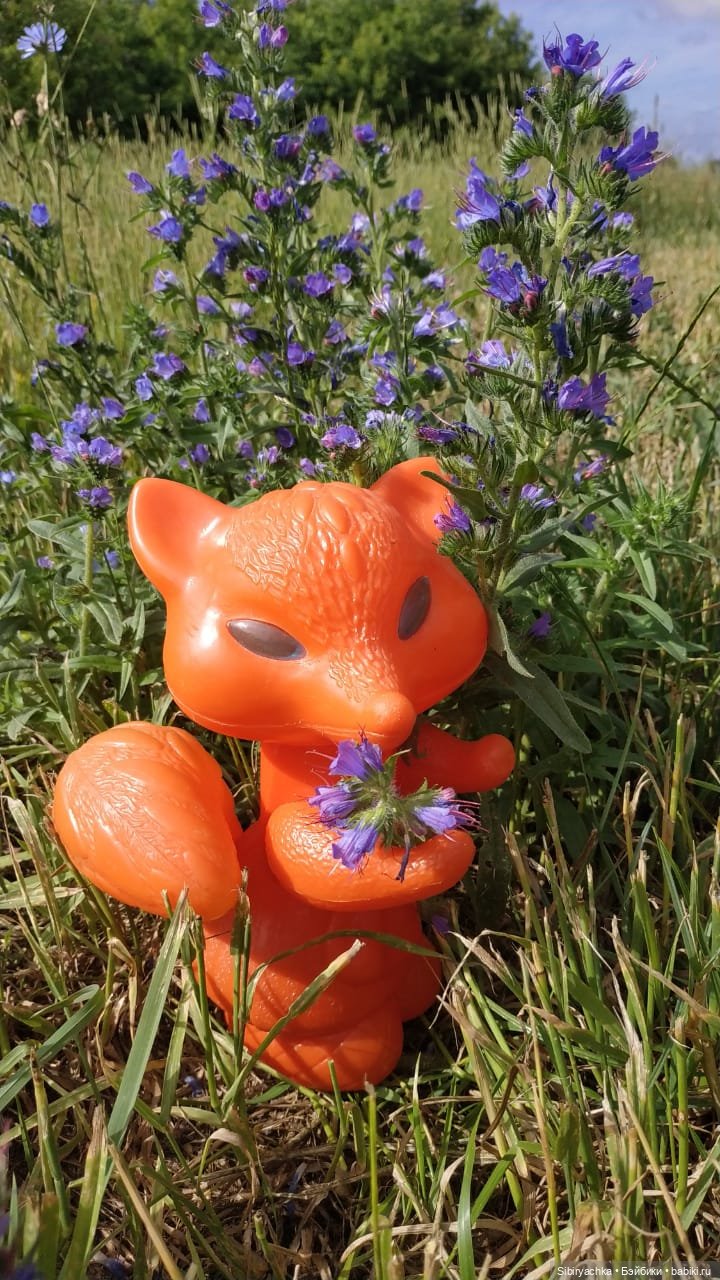 Лисичка-сестричка — Игрушки СССР и советского детства: резиновые