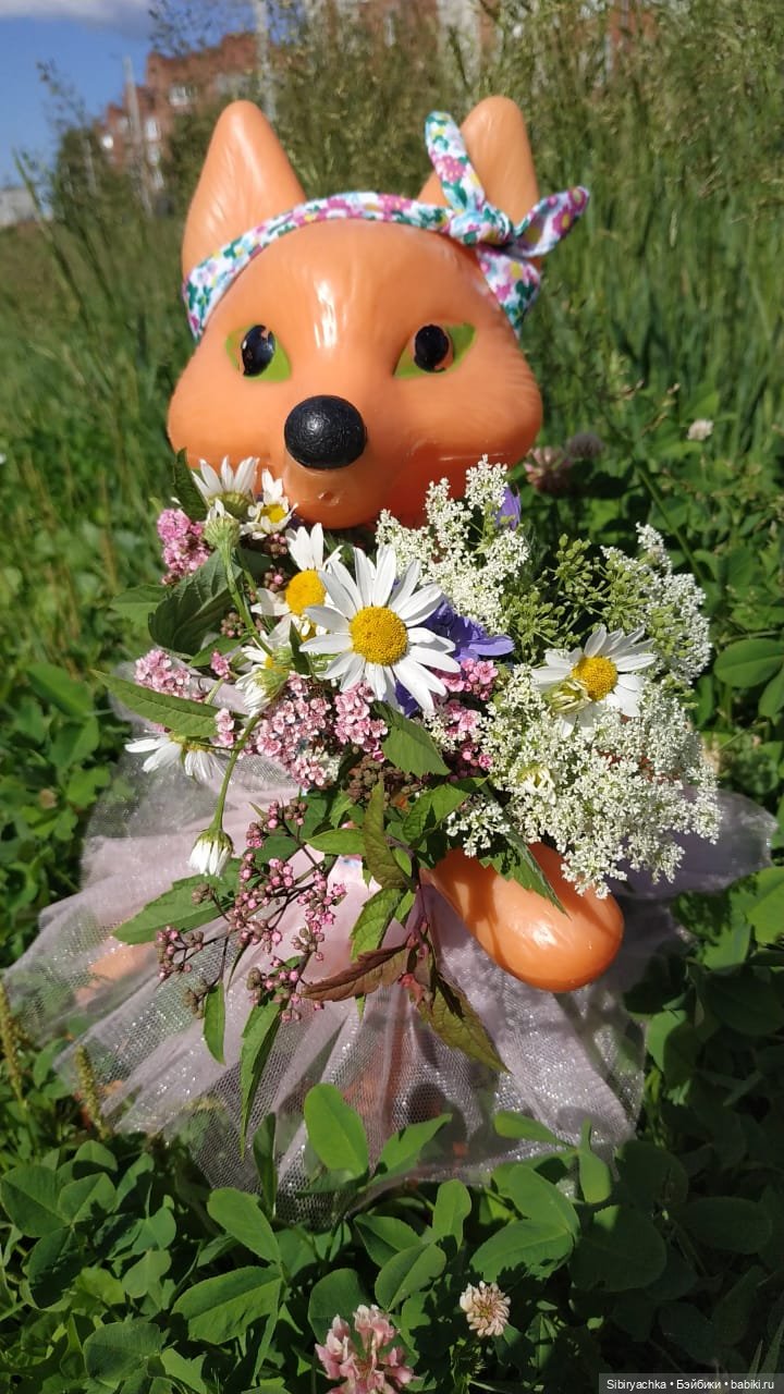 У Патрикеевны утро всегда доброе