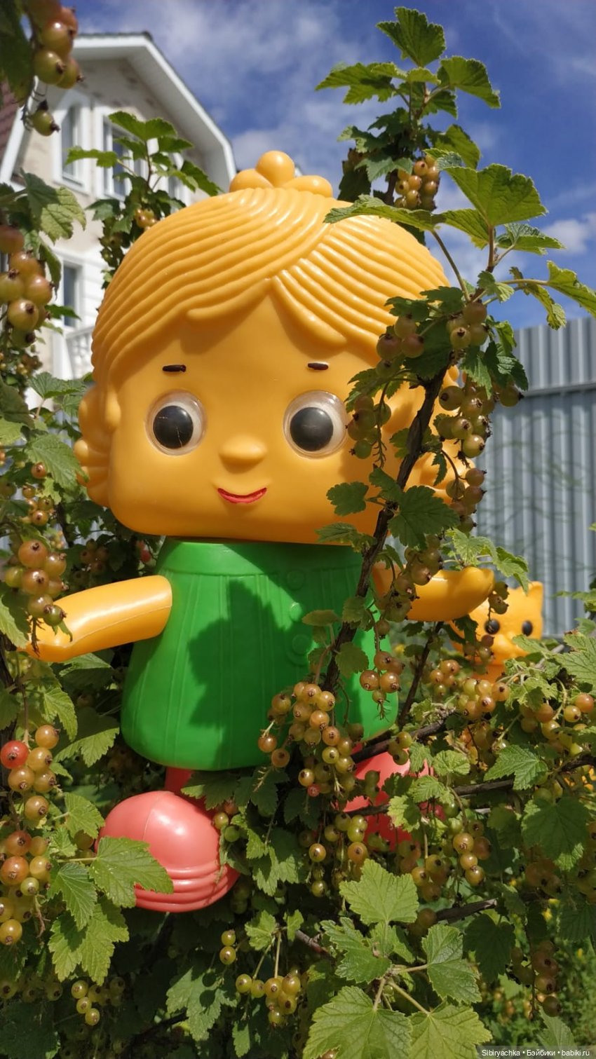 Беззаботное лето Дуняши и кошечки Мурочки