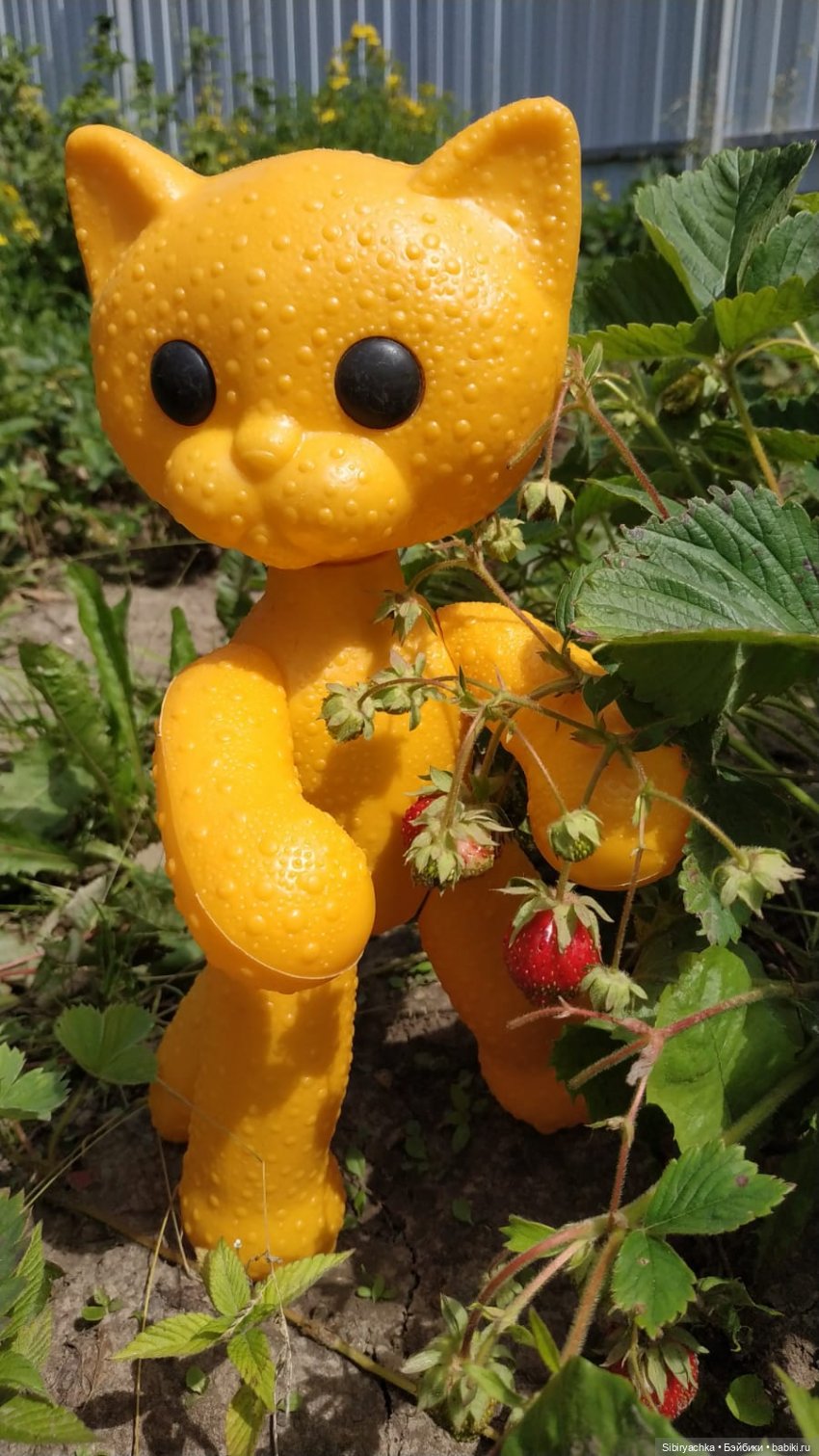 Беззаботное лето Дуняши и кошечки Мурочки (фото 4)