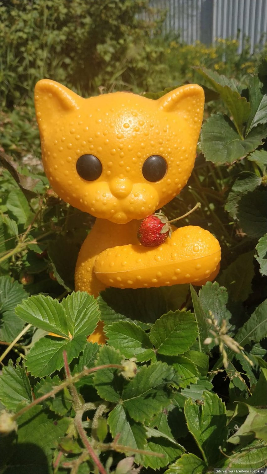 Беззаботное лето Дуняши и кошечки Мурочки (фото 7)