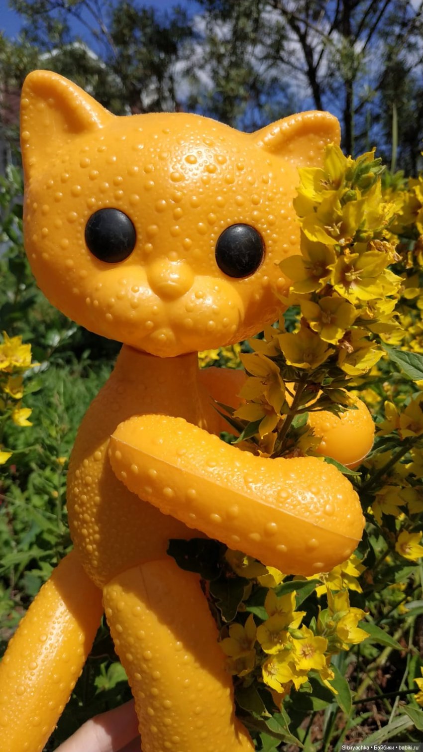 Беззаботное лето Дуняши и кошечки Мурочки