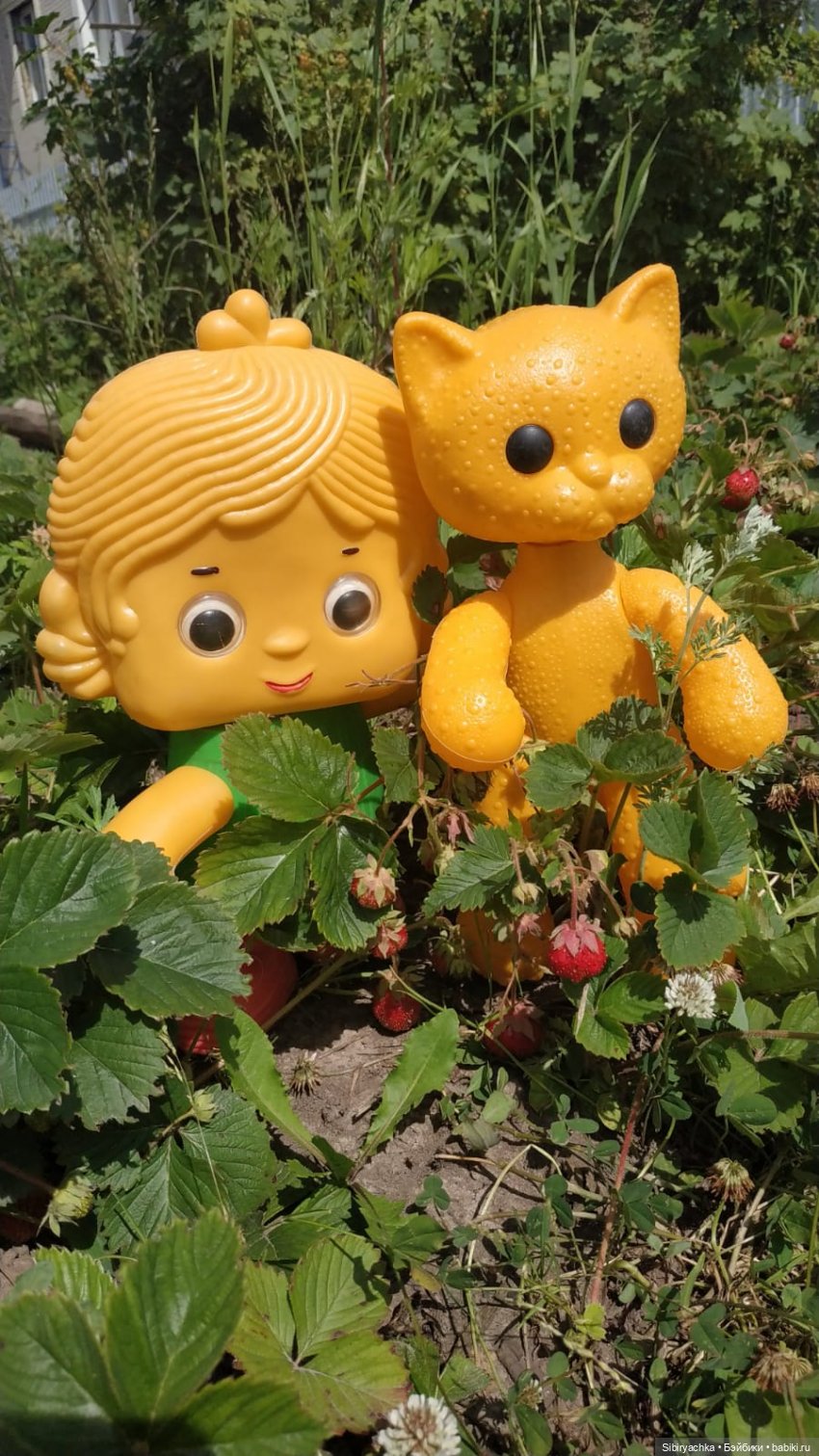 Беззаботное лето Дуняши и кошечки Мурочки (фото 8)