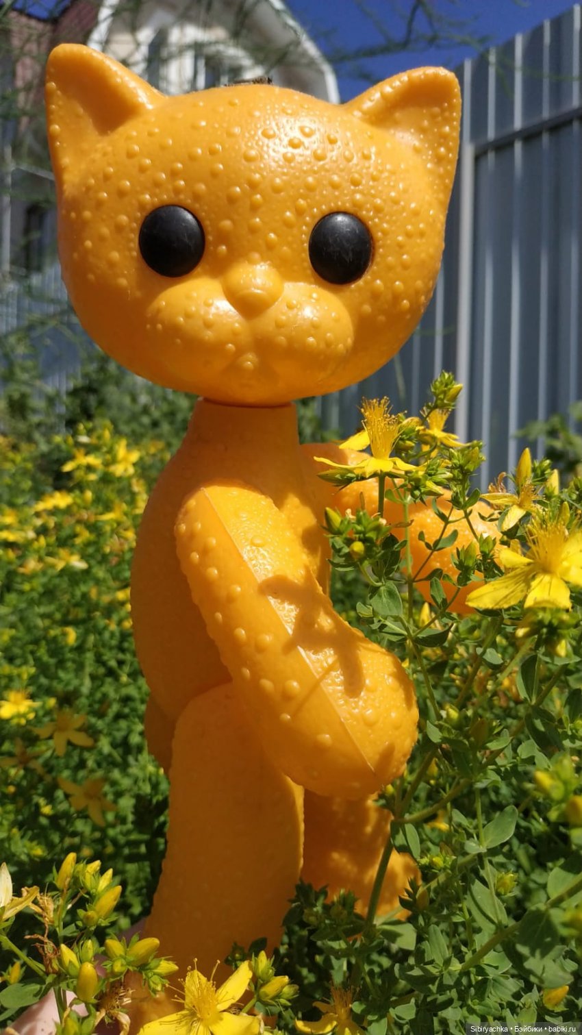 Беззаботное лето Дуняши и кошечки Мурочки (фото 2)