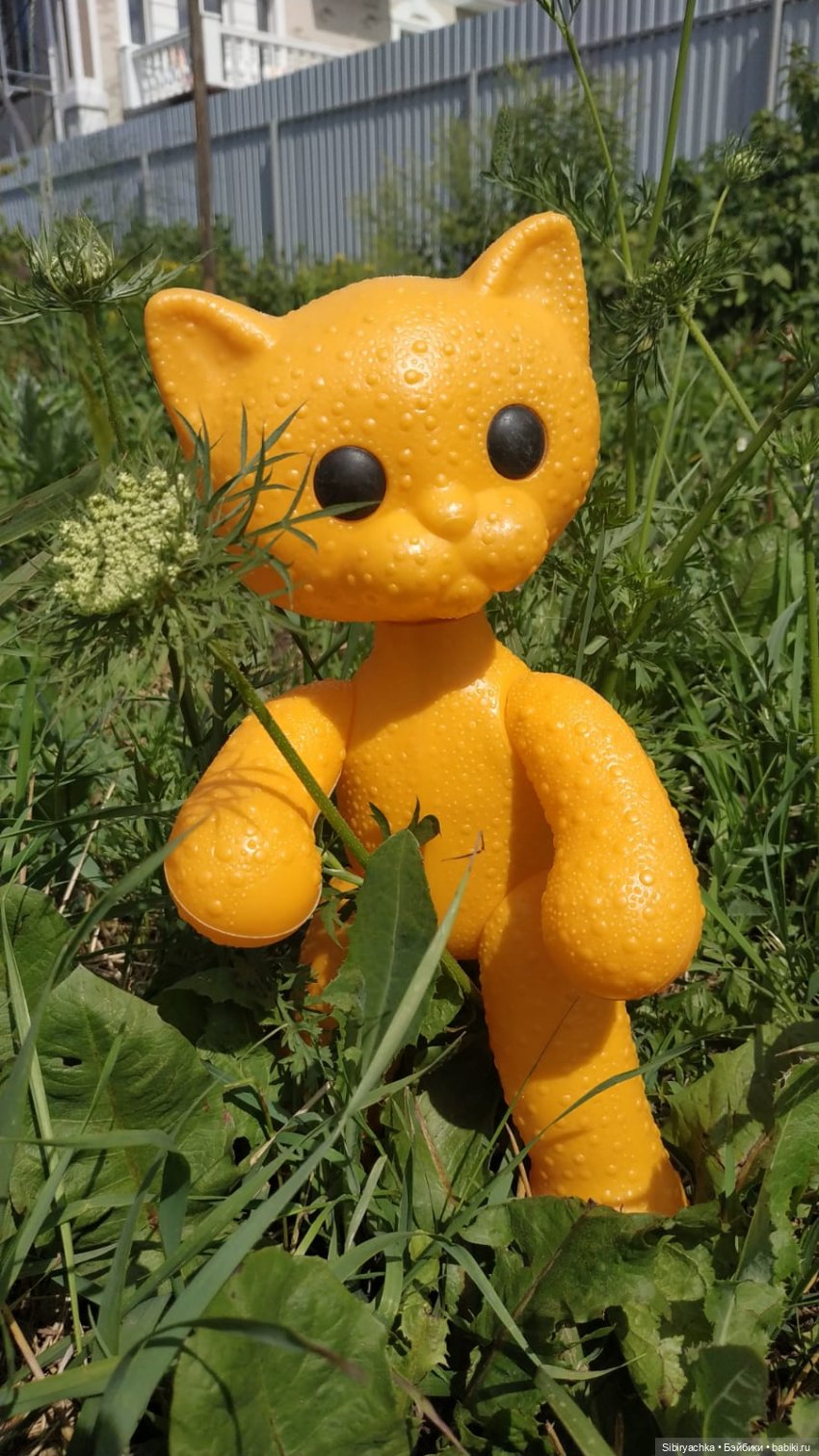 Беззаботное лето Дуняши и кошечки Мурочки