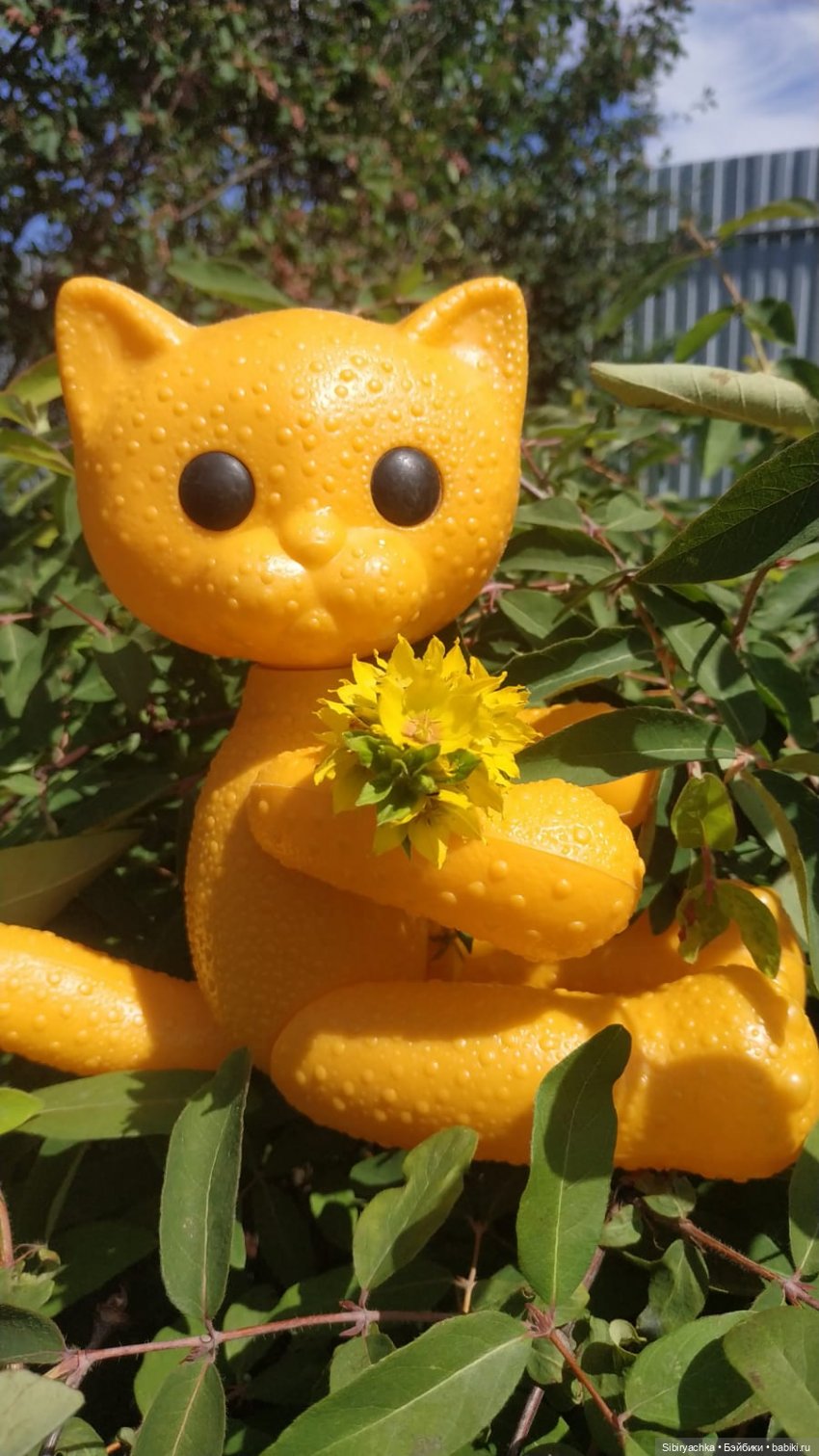 Беззаботное лето Дуняши и кошечки Мурочки