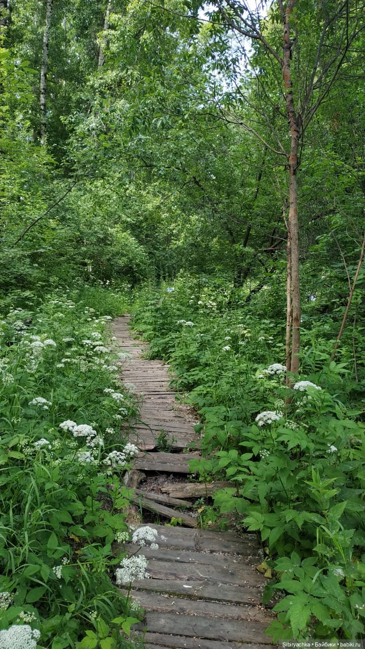 Есть только миг между прошлым и будущим