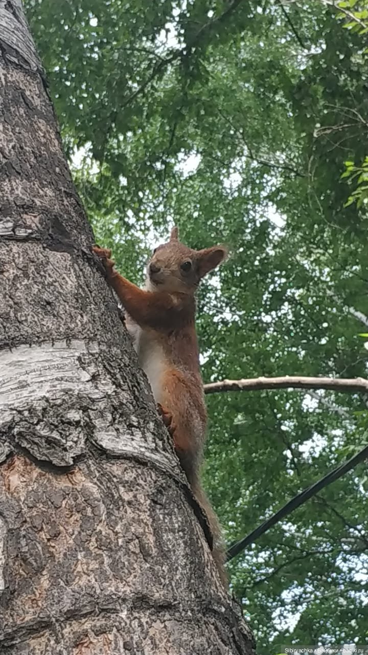 Есть только миг между прошлым и будущим