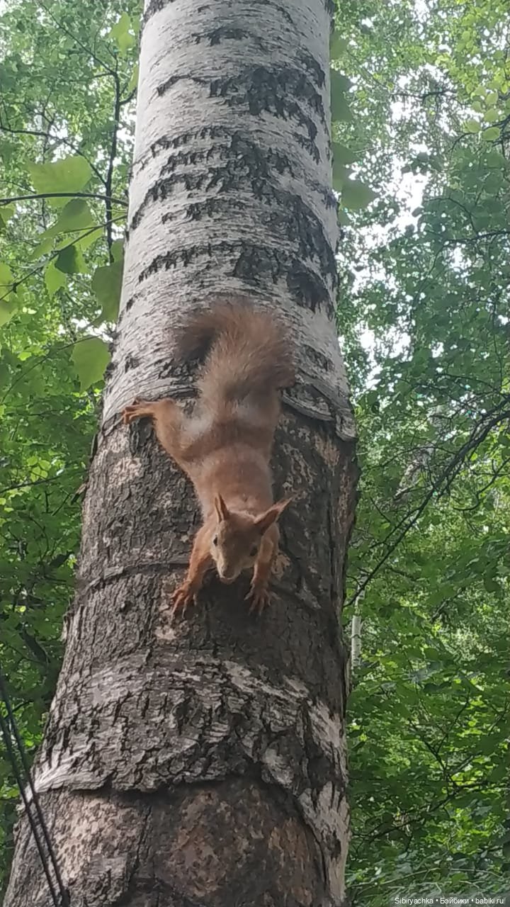 Есть только миг между прошлым и будущим